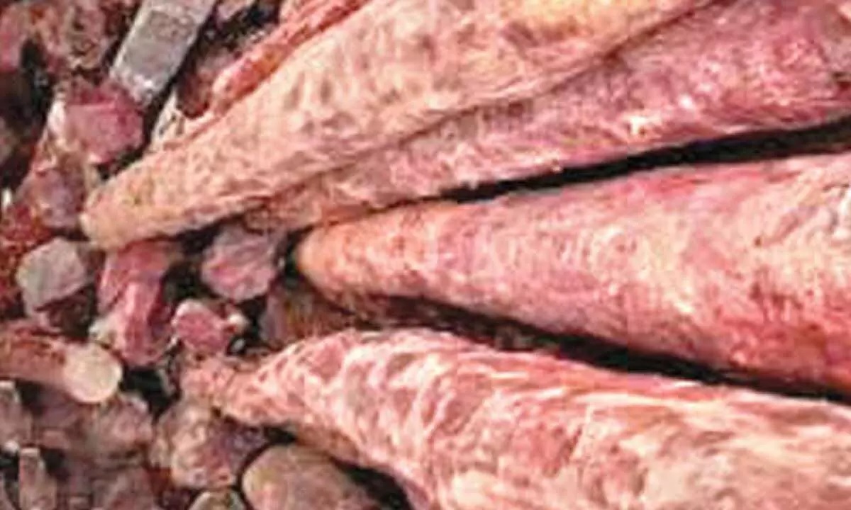 NBA Sanctions Rs 82 Lakh for Red Sanders Conservation in Andhra Pradesh